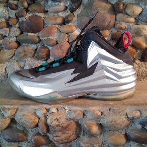 Nike CB Chuck Posite